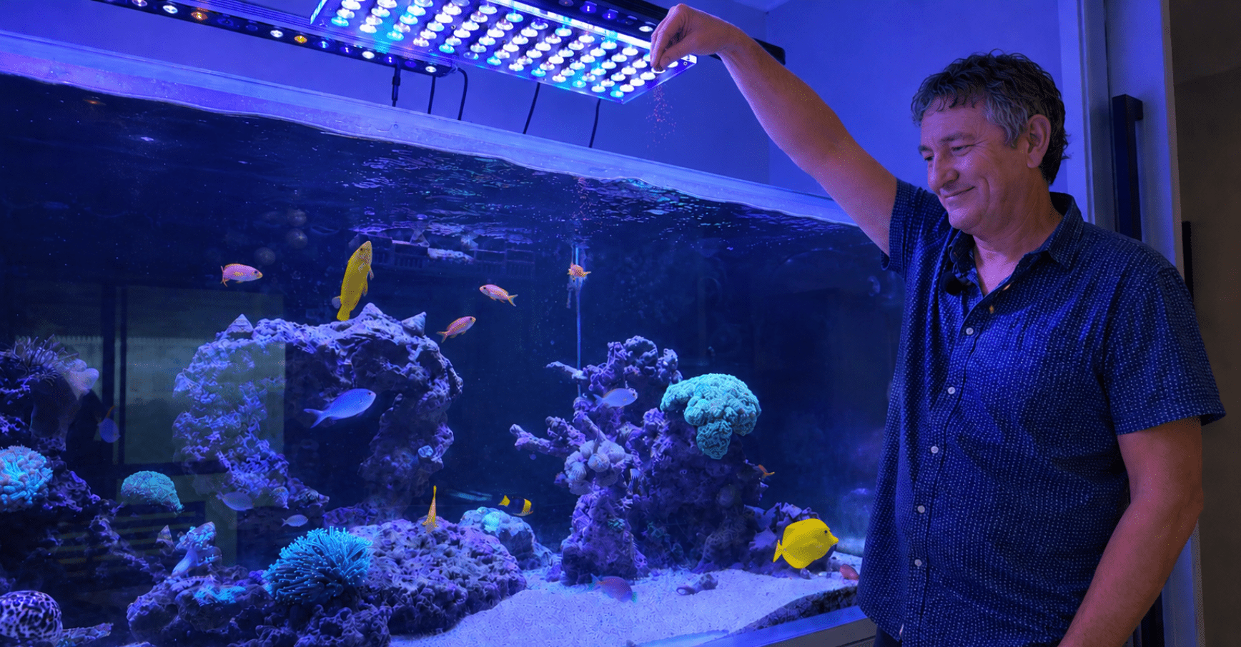 Damien Buckley AI Fish Tank Image