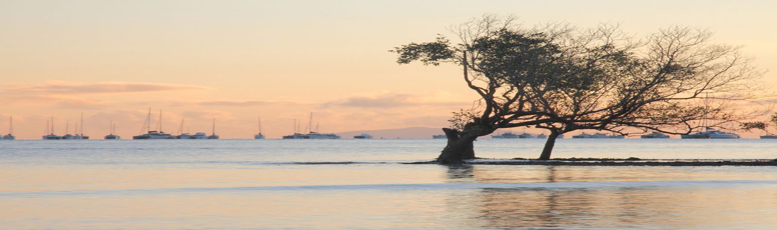 Cannonvale Beach Reserve